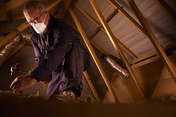 Best Insulation Materials and Products in Birdsboro, PA